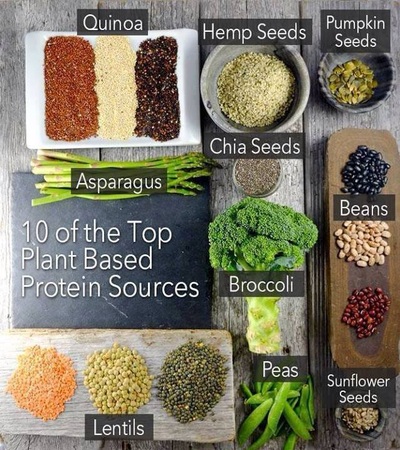 Protein & Your Health